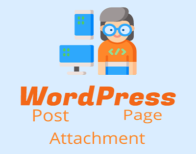 What is a WordPress content type, and how do you determine it?